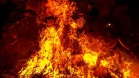 Las Luminarias adalah perayaan malam tradisional yang berlangsung di San Bartolome de Pinares setiap 16 Januari, menjelang Hari Santo Antonius, santo pelindung hewan di Spanyol.  