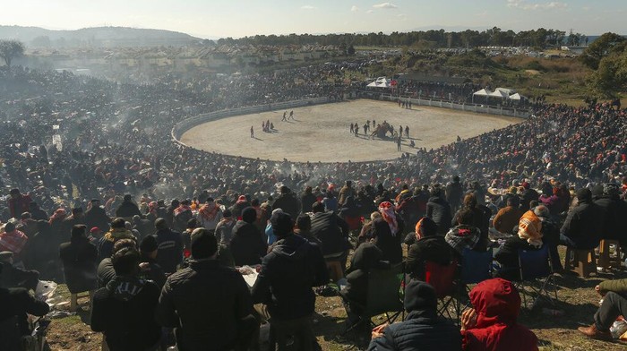 Camels wrestle during Turkey's largest camel wrestling festival in the Aegean town of Selcuk, Turkey, Sunday, Jan. 16, 2022. They were competing as part of 80 pairs or 160 camels in the Efes Selcuk Camel Wrestling Festival, the biggest and most prestigious festival, which celebrated its 40th run. (AP Photo/Emrah Gurel)