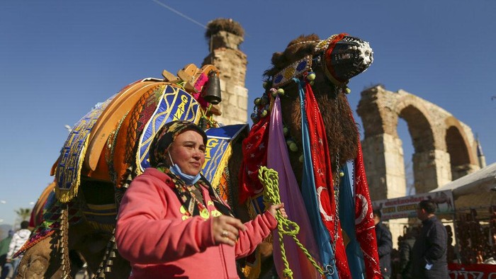 Gulat Unta Camels wrestle during Turkey's largest camel wrestling festival in the Aegean town of Selcuk, Turkey, Sunday, Jan. 16, 2022. They were competing as part of 80 pairs or 160 camels in the Efes Selcuk Camel Wrestling Festival, the biggest and most prestigious festival, which celebrated its 40th run. (AP Photo/Emrah Gurel)
