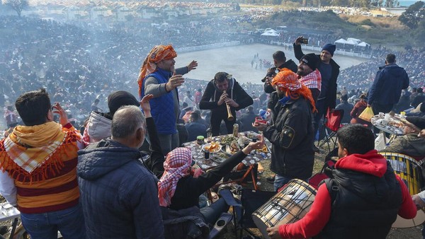 Musisi menampilkan lagu-lagu daerah tradisional, saat penonton menikmati di atas bukit yang menghadap ke arena gulat unta. Sementara unta saling bergulat, ribuan orang menyaksikan acara itu sambil menyantap barbekyu dan makanan lainnya. Musisi menampilkan lagu-lagu daerah tradisional, saat penonton menikmati di atas bukit yang menghadap ke arena gulat unta. Sementara unta saling bergulat, ribuan orang menyaksikan acara itu sambil menyantap barbekyu dan makanan lainnya.