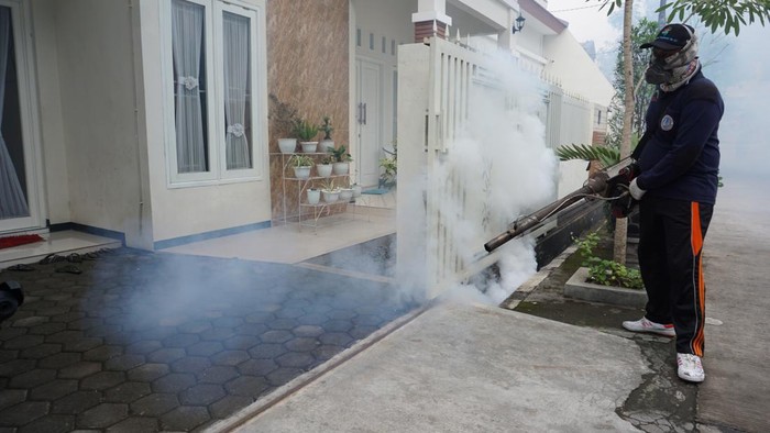 Kasus DBD di Mojokerto 70 Penderita dalam 2 Pekan, 1 Anak Meninggal
