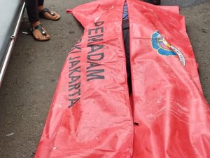 Truk Muatan Es Batu Tabrak Pohon di Lenteng Agung Jaksel, Sopir Tewas