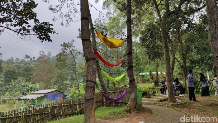 Obwis di Garut.