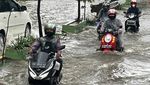 Ragam Aksi Pemotor Nekat Terobos Banjir di Tanjung Duren