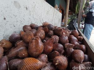 Mengenang Masa Keemasan Salak Cineam Tasik yang Kini Kalah Pamor