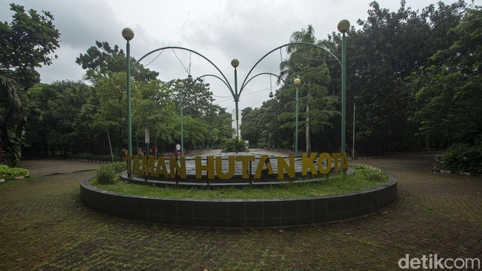 Tidak Hanya Kalimalang, Hutan Kota Bekasi Juga Bakal Dipercantik Sejumlah warga beraktivitas di Hutan Kota, Bekasi, Selasa (18/1/2022). Usai ditengok Gubernur Jawa Barat Ridwan Kamil nantinya hutan kota ini bakal dipercantik.