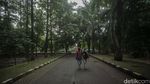 Tidak Hanya Kalimalang, Hutan Kota Bekasi Juga Bakal Dipercantik