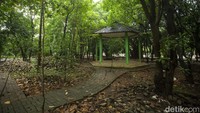 Kang Emil menyampaikan, pihaknya akan mengusulkan desain ulang hutan kota, sehingga harus menjadi paru-paru ekologis dan paru-paru sosial juga.