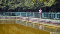 Ia juga membedakan hutan kota dan hutan belantara. Hutan belantara hanya ada pohon saja tidak ada orang, sementara hutan kota ada pohon serta interaksi sosial.