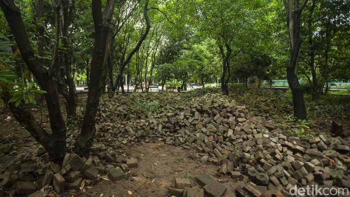 Tidak Hanya Kalimalang, Hutan Kota Bekasi Juga Bakal Dipercantik Sejumlah warga beraktivitas di Hutan Kota, Bekasi, Selasa (18/1/2022). Usai ditengok Gubernur Jawa Barat Ridwan Kamil nantinya hutan kota ini bakal dipercantik.