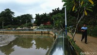 Diketahui, Jaletreng River Park kerap didatangi warga yang hendak berolahraga jogging maupun sekadar bercengkerama bersama keluarga di akhir pekan.