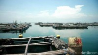 Pulau Gili Ketapang, berjarak sekitar 4 mill laut atau 7 kilometer dari pelabuhan Tanjung Tembaga Kota Probolinggo.