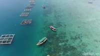 Saat ini sudah ada ratusan kerambah yang ditebar di sisi timur pulau, dengan kedalaman kolam sekitar 7 meter, agar ikan kerapu bisa berkembang biak secara maksimal.