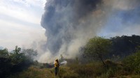 Cuaca kering yang tidak biasa memicu kebakaran di ladang terbuka, peternakan pribadi, dan lahan publik di sekitar kota.