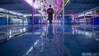 Petugas yang memasuki ruangan pun harus menggunakan perlengkapan yang steril sehingga tanaman bisa langsung dimakan.