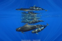 Ocean Art 2021