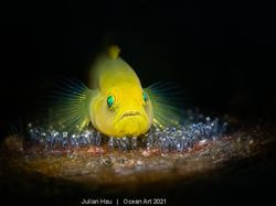 Karya Spektakuler Juara Ocean Art 2021, Lokasi Fotonya Ada di Indonesia