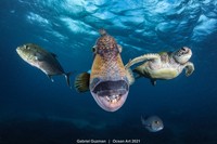 Ocean Art 2021