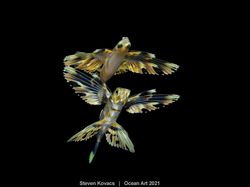 Karya Spektakuler Juara Ocean Art 2021, Lokasi Fotonya Ada di Indonesia