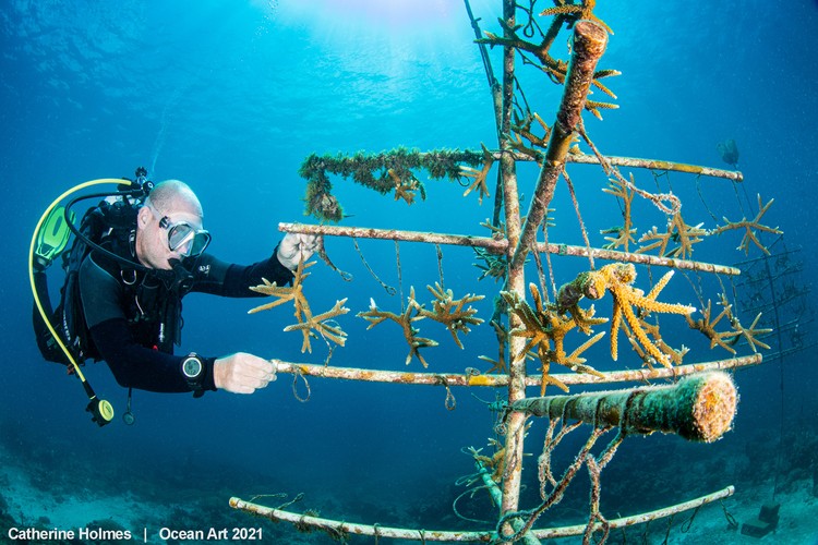 Ocean Art 2021