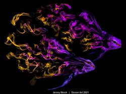 Karya Spektakuler Juara Ocean Art 2021, Lokasi Fotonya Ada di Indonesia