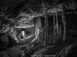 Karya Spektakuler Juara Ocean Art 2021, Lokasi Fotonya Ada di Indonesia