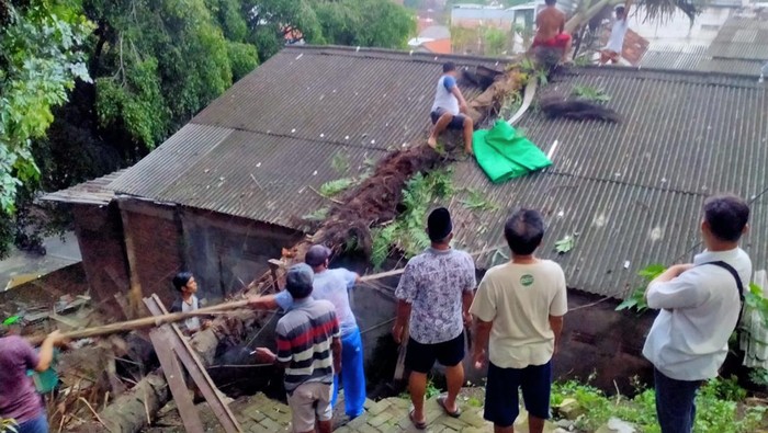 Pohon tumbang timpa rumah di Semarang, Rabu (19/1/2022).