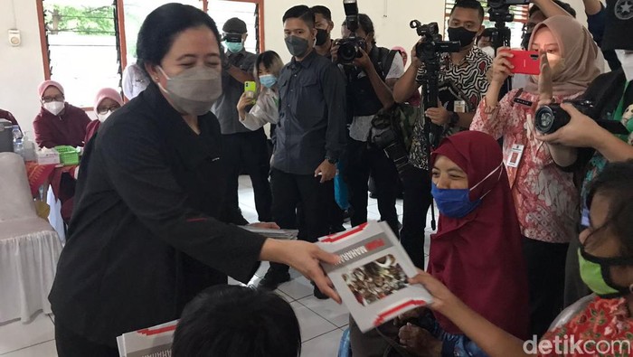 Puan Maharani (Firda Cynthia Anggrainy/detikcom).