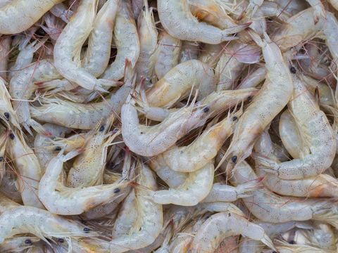 Resep Tombak Udang Renyah Tahan Lama