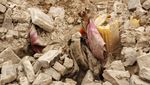 Wajah Memelas Korban Gempa di Afghanistan