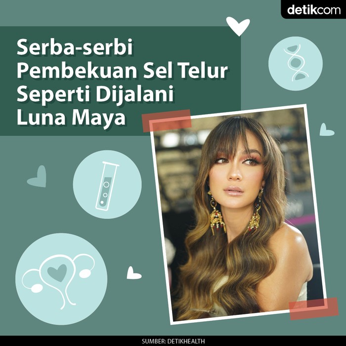 serba serbi pembekuan sel telur