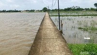 Jalan menuju Situs percandian Batujaya yang sempat tertutup air kini mulai surut. 