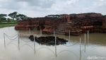 Kondisi Situs Candi Batujaya Karawang yang Nyaris Tenggelam oleh Banjir