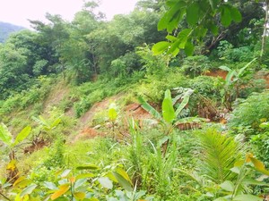 Tempat Evakuasi di Pesisir Pandeglang Rawan Longsor-Sulit Diakses Warga