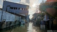 Satu RW di Tegal Alur Jakbar Masih Banjir, 5.000 Warga Jadi Korban