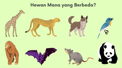 Asah Ketajaman Mata Sekaligus Otak dengan Teka-teki Gambar Hewan Ini