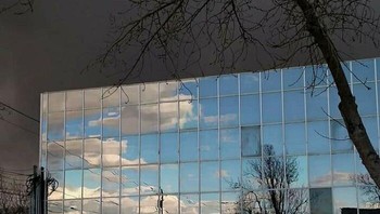 Refleksi di kaca bikin membingungkan. Foto: Boredpanda