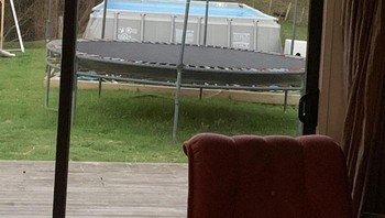 Bulan di atas trampolin. Foto: Boredpanda