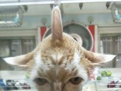 Awas! Deretan Foto Refleksi Ini Bikin Mata Tertipu
