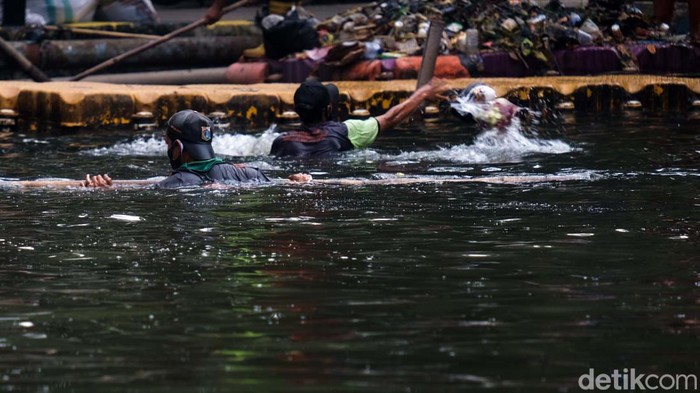 Imbas Banjir Tegal Alur, Sampah Berserakan di Sungai Banjir di Kelurahan Tegal Alur, Jakarta Barat, membuat sampah plastik berserakan di sungai. Sampah tersebut diangkut petugas UPK Badan Air.