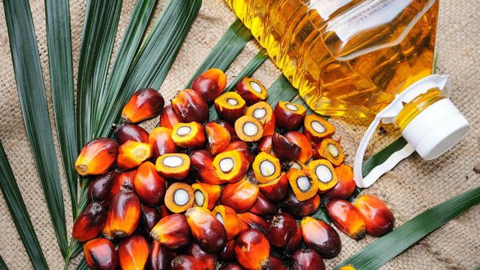 Jenis minyak goreng yang berbahaya