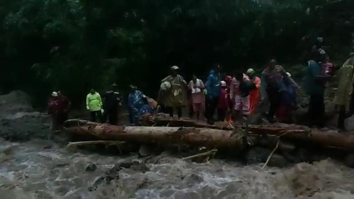 Rombongan Kapolres Pekalongan meniti pohon tumbang saat terjebak longsor di Petungkriyono