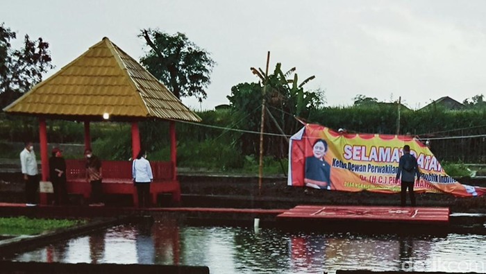 Spanduk Puan Marani saat acara tebar benih ikan di Klaten tetiba dicopot, Kamis (20/1/2022).