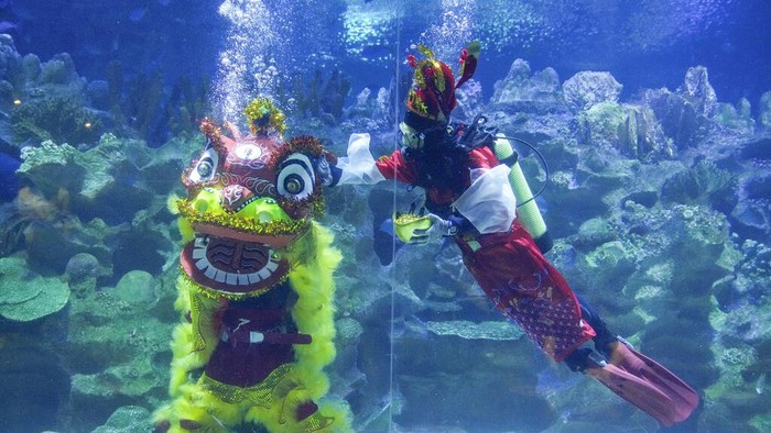 Divers dressed in Fortune God costume and Chinese lion dancer perform as part of the Chinese Lunar New Year celebration at Aquaria KLCC underwater park in Kuala Lumpur, Malaysia, Friday, Jan. 21, 2022. (AP Photo/Vincent Thian)
