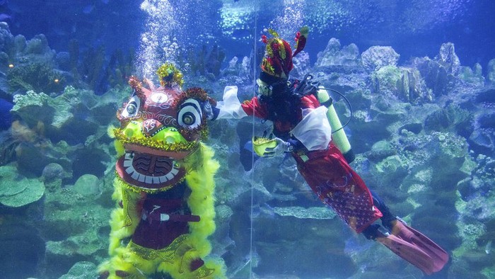Atraksi Barongsai di Dalam Air Meriahkan Tahun Baru Imlek Divers dressed in Fortune God costume and Chinese lion dancer perform as part of the Chinese Lunar New Year celebration at Aquaria KLCC underwater park in Kuala Lumpur, Malaysia, Friday, Jan. 21, 2022. (AP Photo/Vincent Thian)