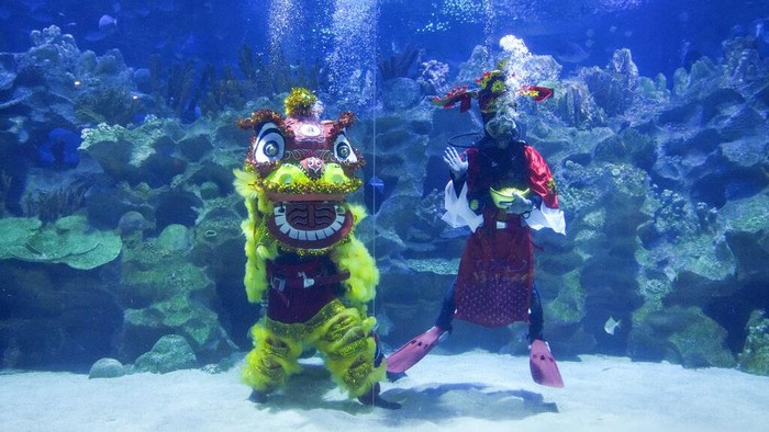 Atraksi Barongsai di Dalam Air Meriahkan Tahun Baru Imlek Divers dressed in Fortune God costume and Chinese lion dancer perform as part of the Chinese Lunar New Year celebration at Aquaria KLCC underwater park in Kuala Lumpur, Malaysia, Friday, Jan. 21, 2022. (AP Photo/Vincent Thian)
