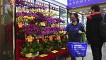 Berburu Bunga hingga Pernak-pernik Jelang Perayaan Imlek di Hong Kong