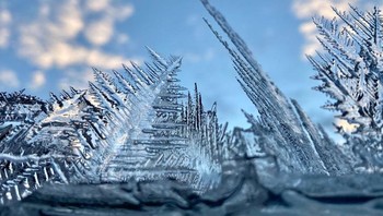 Mirip pungung Godzila. Foto: Reddit