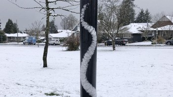 Seperti ular di tiang. Foto: Reddit