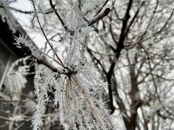 Foto Efek Musim Dingin Bikin Mata Terbelalak